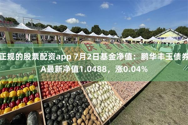 正规的股票配资app 7月2日基金净值：鹏华丰玉债券A最新净值1.0488，涨0.04%