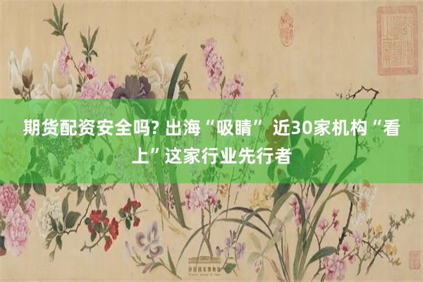 期货配资安全吗? 出海“吸睛” 近30家机构“看上”这家行业先行者