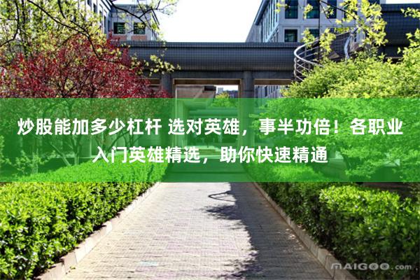 炒股能加多少杠杆 选对英雄，事半功倍！各职业入门英雄精选，助你快速精通
