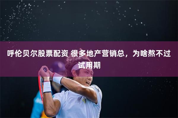 呼伦贝尔股票配资 很多地产营销总，为啥熬不过试用期