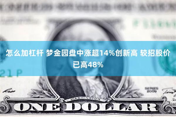 怎么加杠杆 梦金园盘中涨超14%创新高 较招股价已高48%