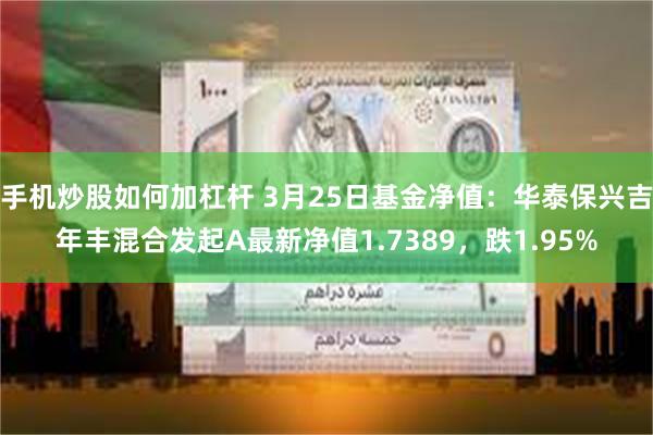 手机炒股如何加杠杆 3月25日基金净值：华泰保兴吉年丰混合发起A最新净值1.7389，跌1.95%
