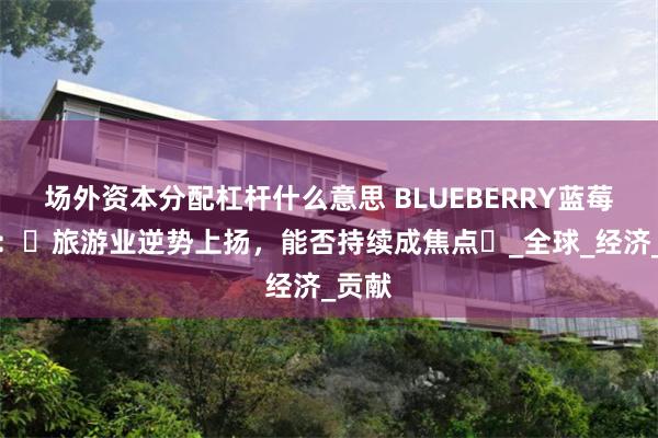 场外资本分配杠杆什么意思 BLUEBERRY蓝莓外汇：‌旅游业逆势上扬，能否持续成焦点‌_全球_经济_贡献