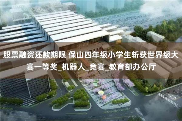 股票融资还款期限 保山四年级小学生斩获世界级大赛一等奖_机器人_竞赛_教育部办公厅