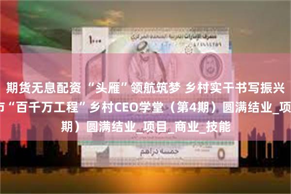 期货无息配资 “头雁”领航筑梦 乡村实干书写振兴答卷——广州市“百千万工程”乡村CEO学堂（第4期）圆满结业_项目_商业_技能