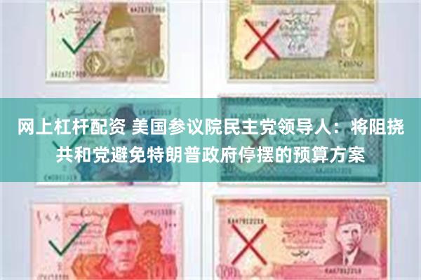 网上杠杆配资 美国参议院民主党领导人：将阻挠共和党避免特朗普政府停摆的预算方案