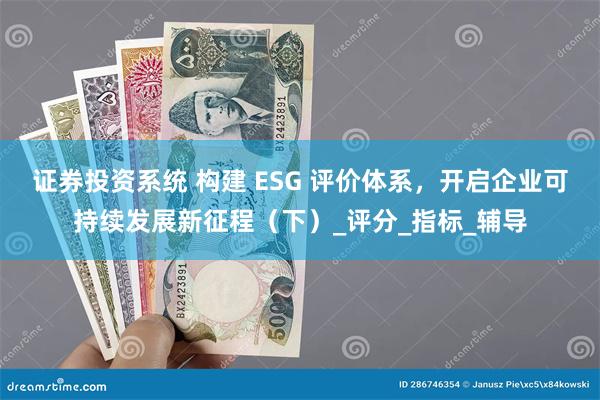 证券投资系统 构建 ESG 评价体系，开启企业可持续发展新征程（下）_评分_指标_辅导