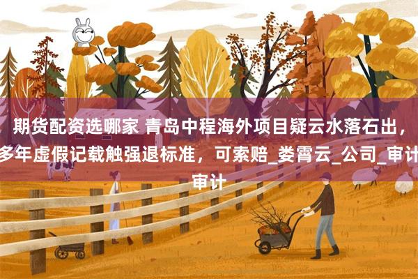期货配资选哪家 青岛中程海外项目疑云水落石出，多年虚假记载触强退标准，可索赔_娄霄云_公司_审计