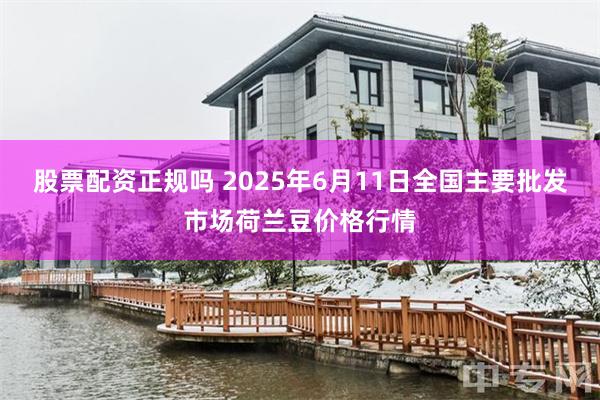 股票配资正规吗 2025年6月11日全国主要批发市场荷兰豆价格行情