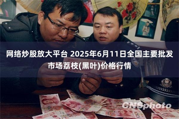 网络炒股放大平台 2025年6月11日全国主要批发市场荔枝(黑叶)价格行情