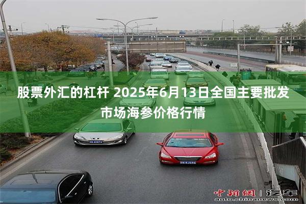 股票外汇的杠杆 2025年6月13日全国主要批发市场海参价格行情