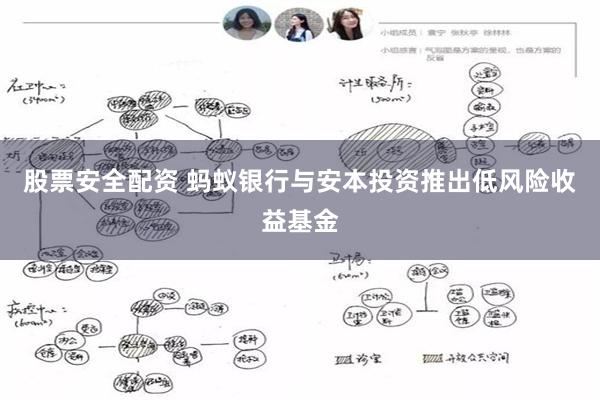 股票安全配资 蚂蚁银行与安本投资推出低风险收益基金