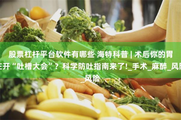 股票杠杆平台软件有哪些 海特科普 | 术后你的胃在开“吐槽大会”？科学防吐指南来了!_手术_麻醉_风险