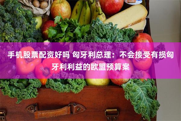 手机股票配资好吗 匈牙利总理：不会接受有损匈牙利利益的欧盟预算案