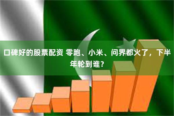 口碑好的股票配资 零跑、小米、问界都火了，下半年轮到谁？